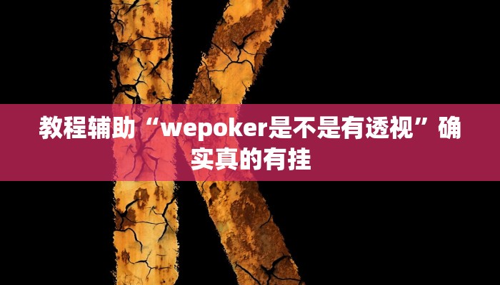 教程辅助“wepoker是不是有透视”确实真的有挂