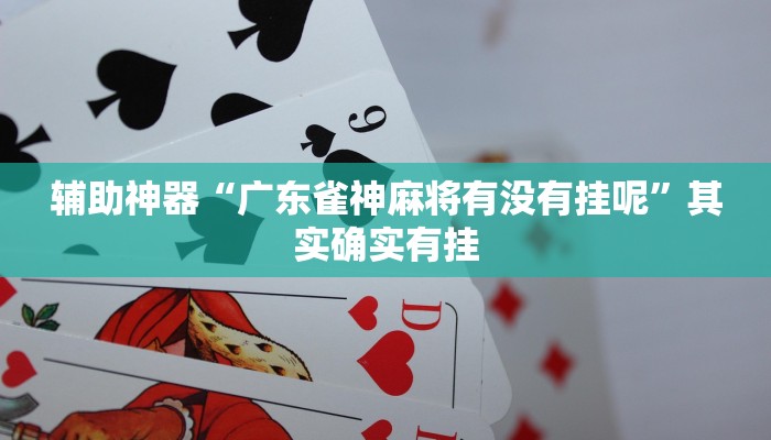 教程辅助“乐天棋牌有挂吗怎么开挂”确实真的有挂