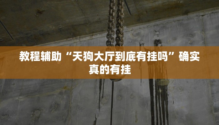 教程辅助“德州局WePoker透视挂作弊方法”(原来确实是有挂)