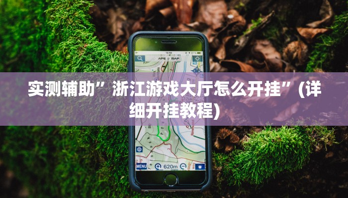教程辅助“大菠萝比鸡作弊教程”确实真的有挂