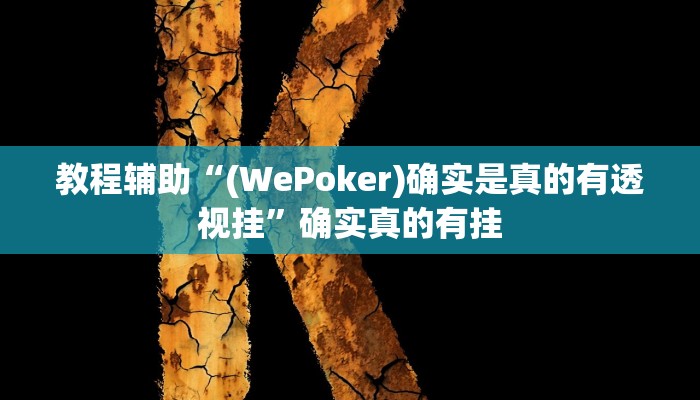 教程辅助“WePoker德州局透视挂辅助软件”确实真的有挂