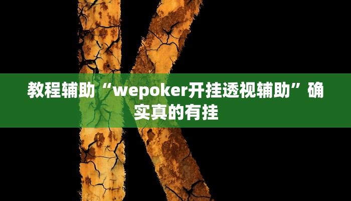 教程辅助“激情十三张开挂神器”(原来确实是有挂)