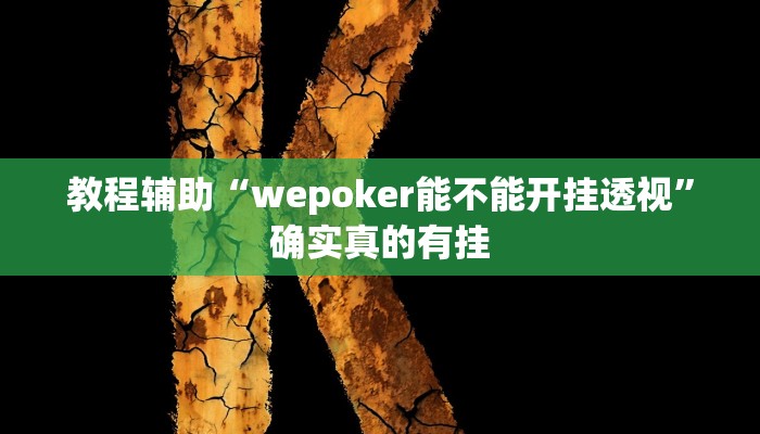 辅助神器“德州wepoker私人局透视挂”(详细开挂教程)