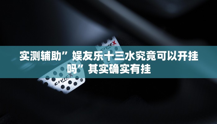 教程辅助“德扑之星辅助挂透视挂”确实真的有挂