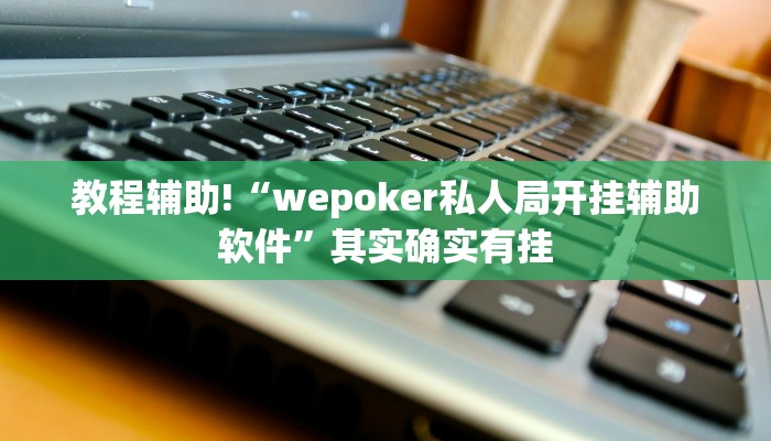 教程辅助“wepoker挂先试用后付款”(原来确实是有挂)