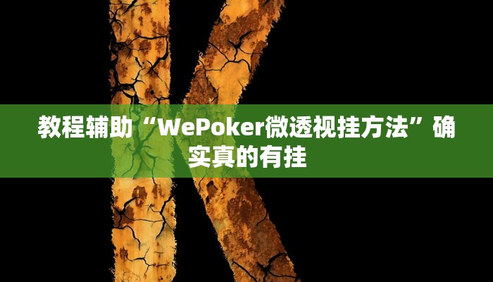 教程辅助“大巴杭州开挂辅助软件”确实真的有挂
