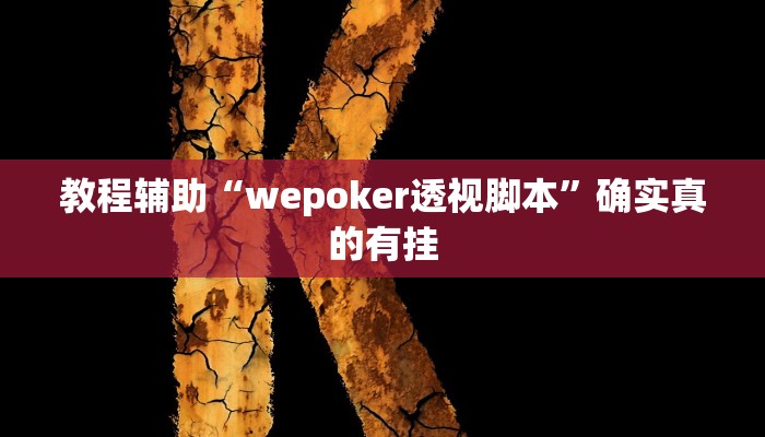 教程辅助“德州局wepoker开挂教程”确实真的有挂