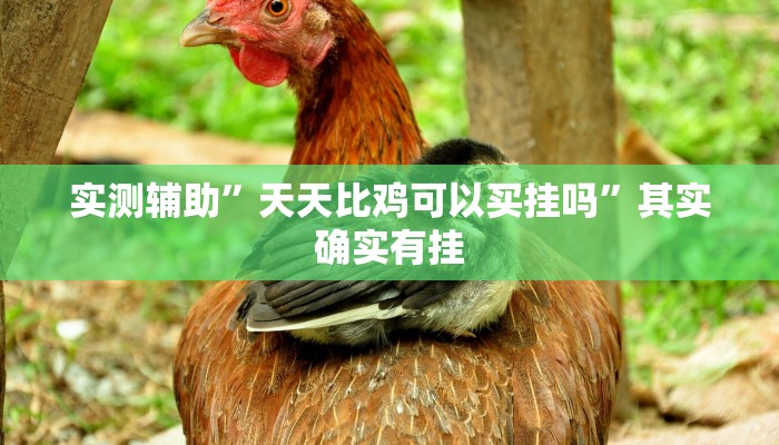 教程辅助“相约十三水开挂辅助器”(原来确实是有挂)