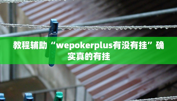 教程辅助“中至上饶打炸开挂神器”(原来确实是有挂)