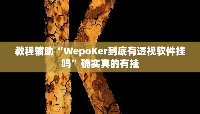 教程辅助“博乐填大坑挂”确实真的有挂