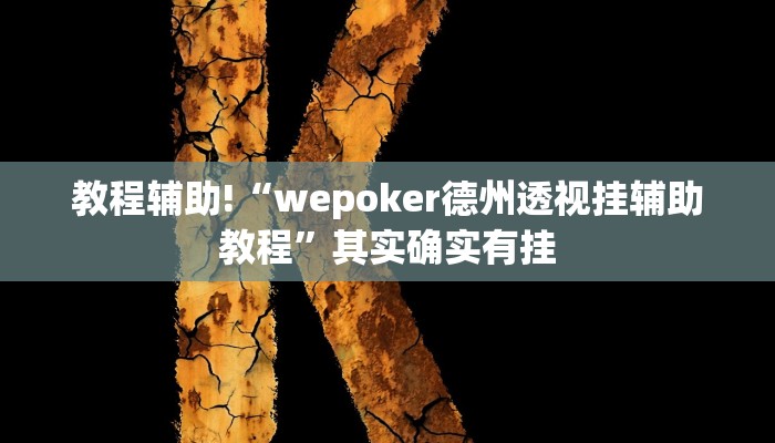 实测辅助”wepoker辅助挂作弊教程”(详细开挂教程)