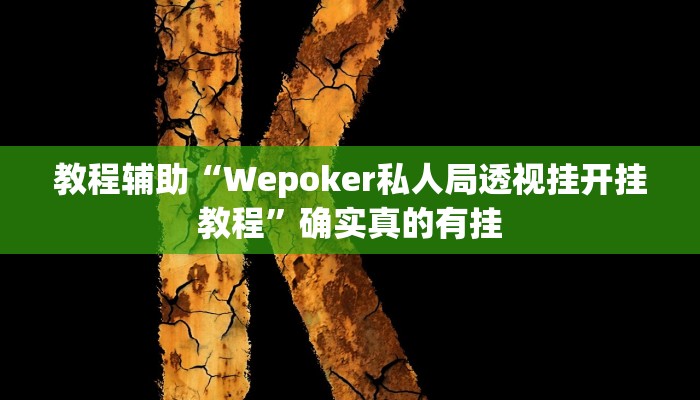 教程辅助“大头十三水开挂辅助器”确实真的有挂