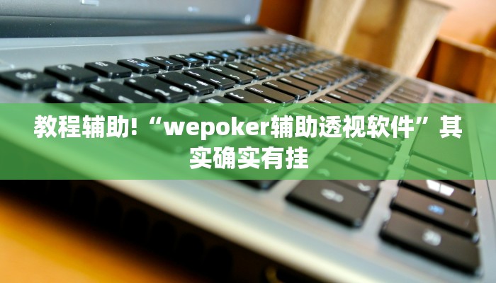 教程辅助“小小艺术家开挂神器”确实真的有挂