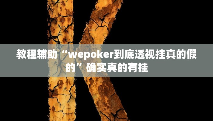 教程辅助“hhpoker透视挂作弊”确实真的有挂