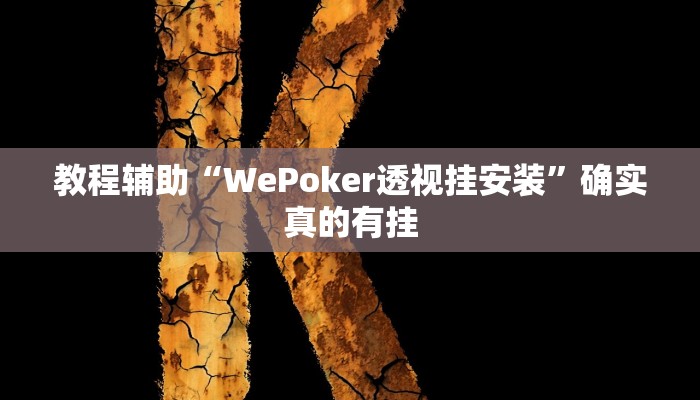 教程辅助“德扑之星私人局作弊透视挂”(原来确实是有挂)
