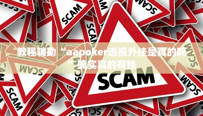 教程辅助“阿拉游戏中心透视挂”确实真的有挂