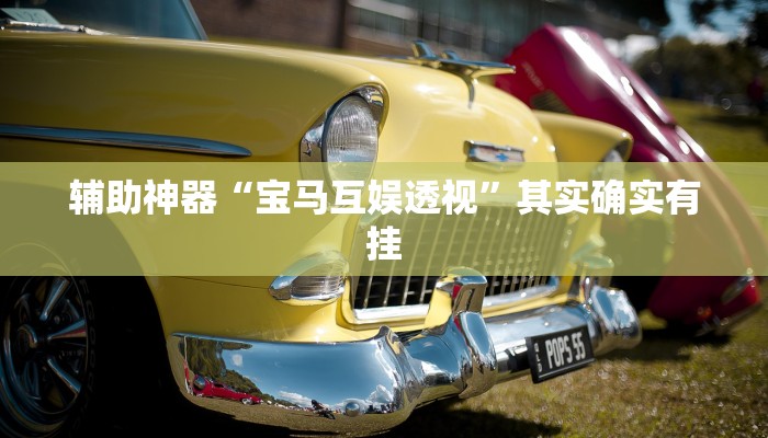 教程辅助“乐达大连麻将胡牌诀窍”(原来确实是有挂)