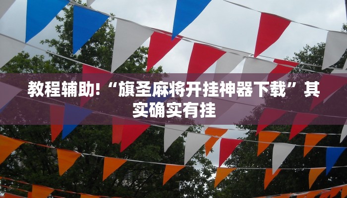 教程辅助“胜奕填大坑透视软件”(原来确实是有挂)