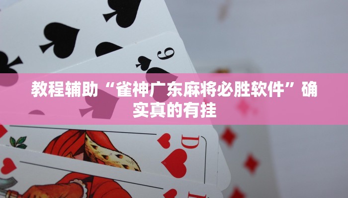 教程辅助“德扑之星辅助挂透视教程”(原来确实是有挂)