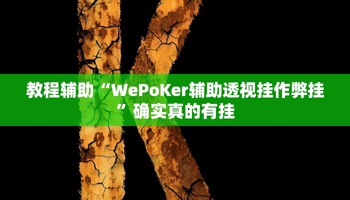 教程辅助“德扑之星俱乐部透视破解版”(原来确实是有挂)