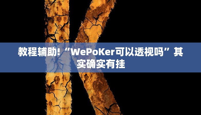 教程辅助“hhpoker透视方法”(原来确实是有挂)