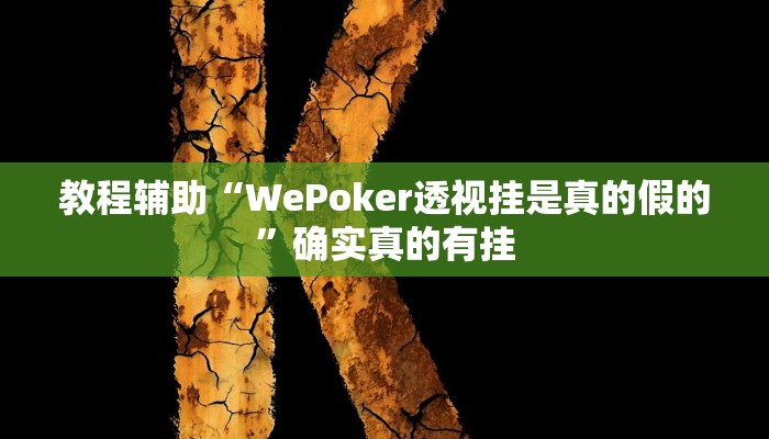 实测辅助”德扑之星究竟有没有透视”(详细开挂教程)