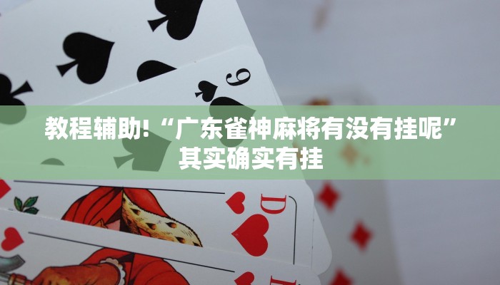 实测辅助”乐山游戏中心开挂神器”(详细开挂教程)
