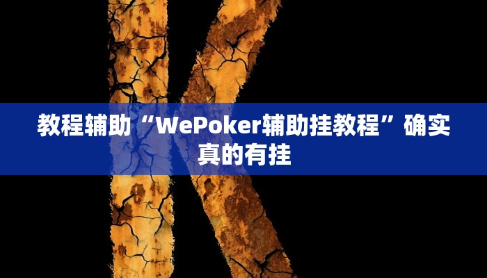 教程辅助“德扑之星作弊挂透视”(原来确实是有挂)