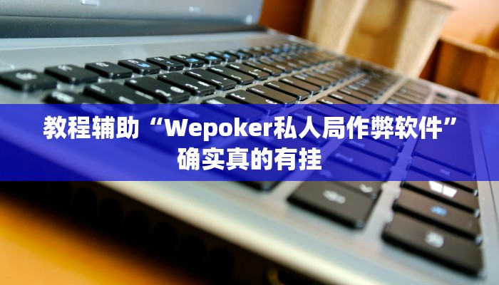 教程辅助“罗松十三张有软件吗透视辅助脚本”确实真的有挂