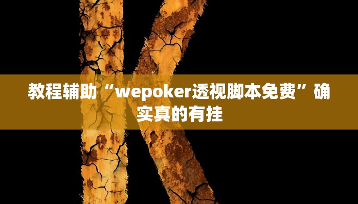 教程辅助!“wepoker辅助挂透视挂作弊挂”其实确实有挂