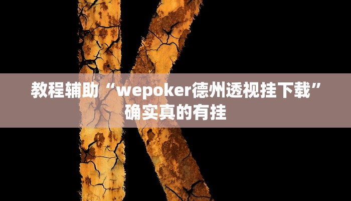 辅助神器“新道游大厅透视挂”(详细开挂教程)