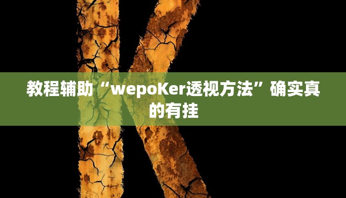 教程辅助“德扑之星透视挂技巧”(原来确实是有挂)