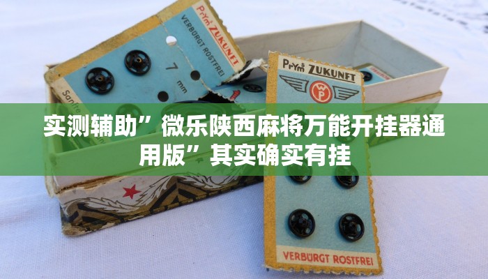 实测辅助”摸一把跑得快可以开透视挂吗”其实确实有挂