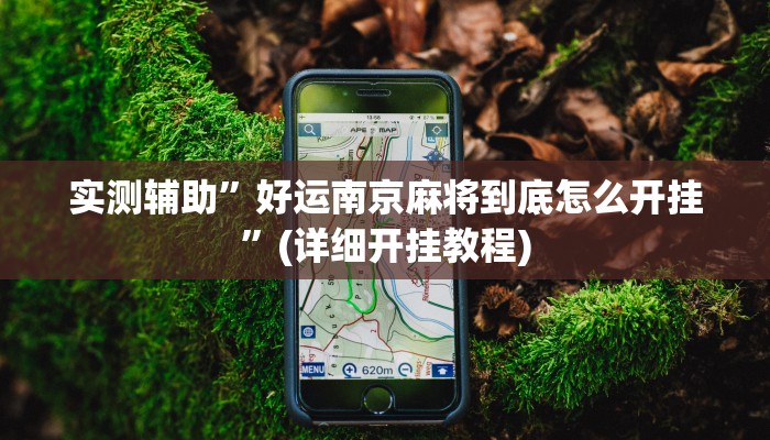 教程辅助“微信链接大厅有挂吗”(原来确实是有挂)
