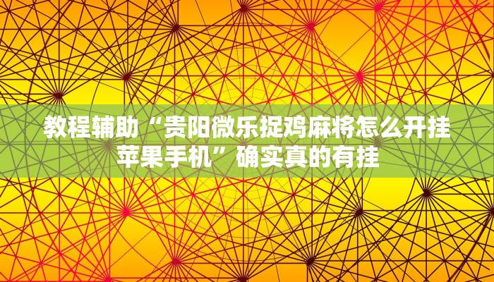 教程辅助“德扑之星辅助透视作弊教程”确实真的有挂