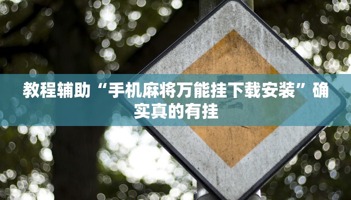 教程辅助“山水云南麻将万能挂”确实真的有挂