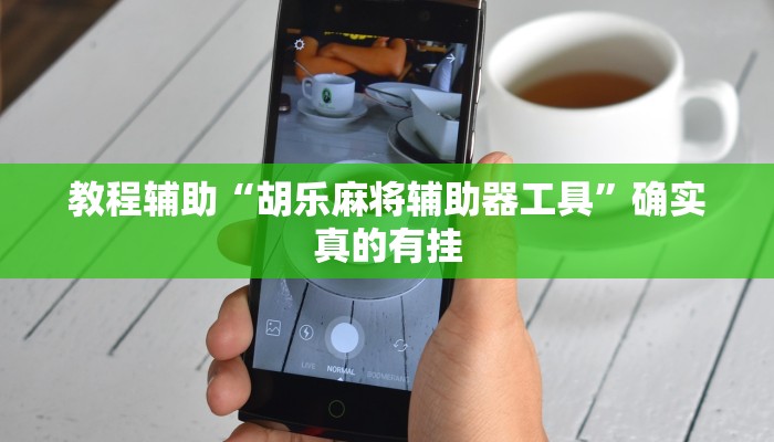 教程辅助“山水云南麻将开挂神器下载”(原来确实是有挂)