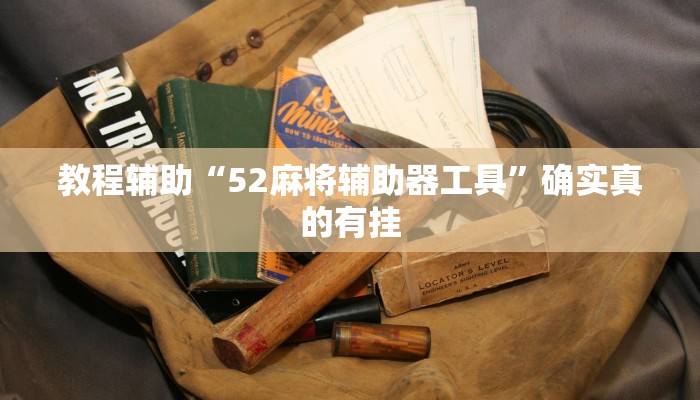 教程辅助“微乐麻将怎么赢的几率大”(原来确实是有挂)