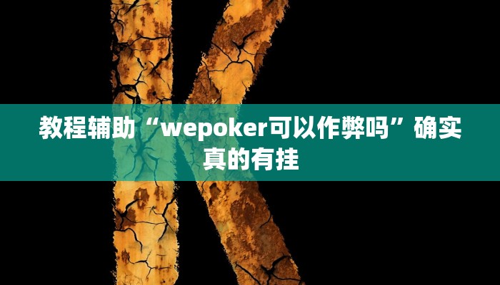 教程辅助“乐乐川南字牌辅助器”(原来确实是有挂)