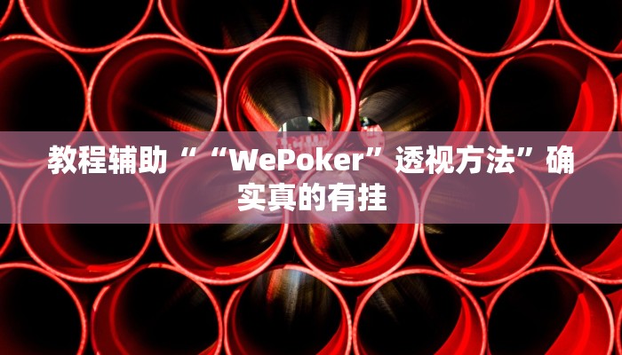 教程辅助“德扑之星私人局作弊详细”(原来确实是有挂)