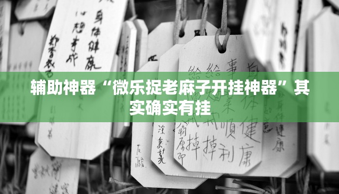 实测辅助”wepoker德州局透视辅助”其实确实有挂