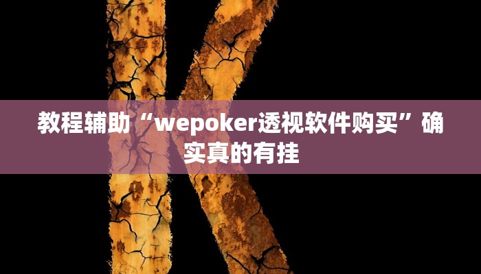 教程辅助“好玩贰柒拾辅助软件”确实真的有挂