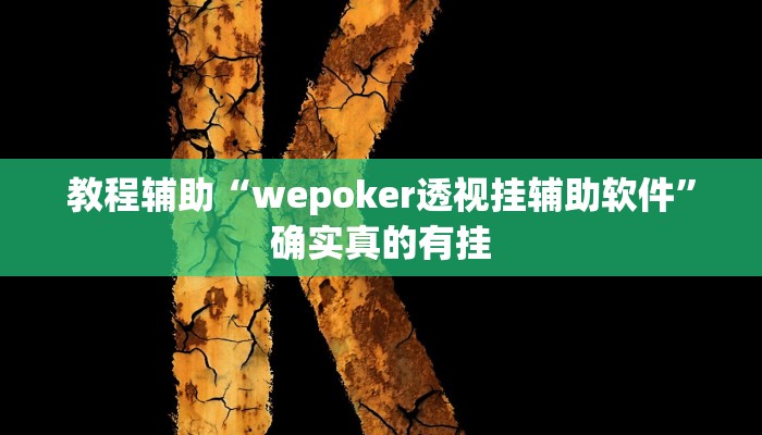 教程辅助“功夫川麻透视挂辅助”确实真的有挂