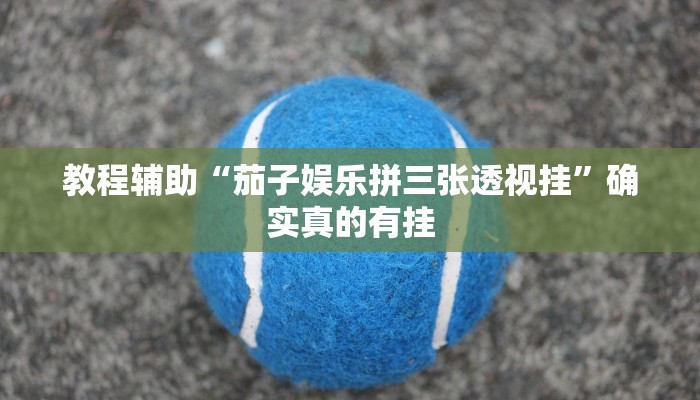 教程辅助“芙蓉大厅可以开挂吗”(原来确实是有挂)