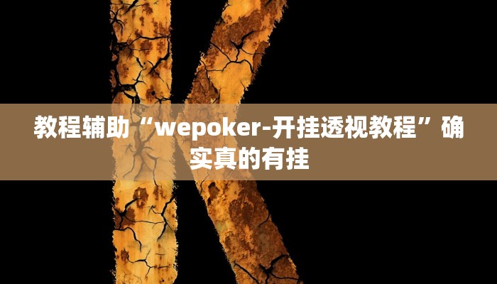 教程辅助!“wepoker作弊挂透视辅助软件”其实确实有挂