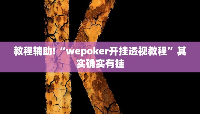 教程辅助“德扑之星辅助器”(原来确实是有挂)