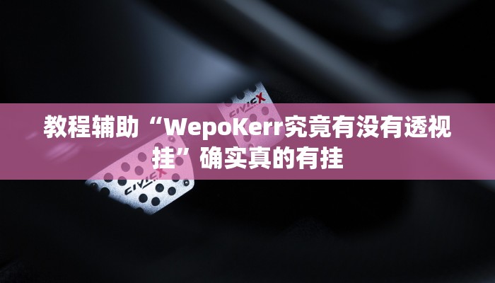 教程辅助“hhpoker开挂作弊”确实真的有挂