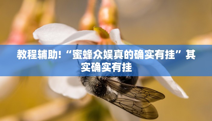 教程辅助“哈灵麻将有没有挂”(原来确实是有挂)
