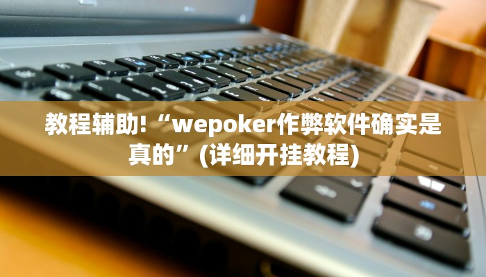 教程辅助“青鸟大厅拼三张透视挂”确实真的有挂