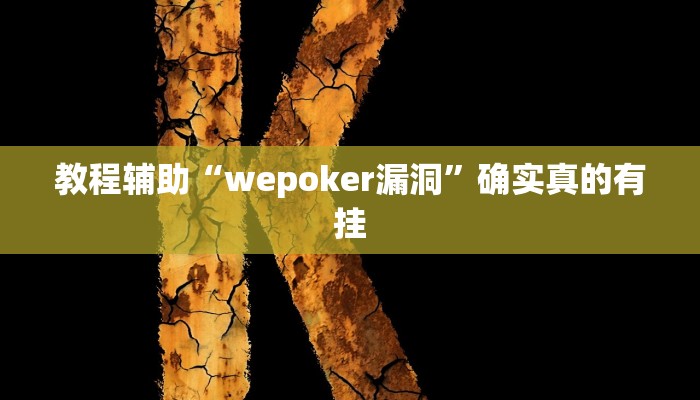 实测辅助”玉山打炸到底有没有挂”其实确实有挂
